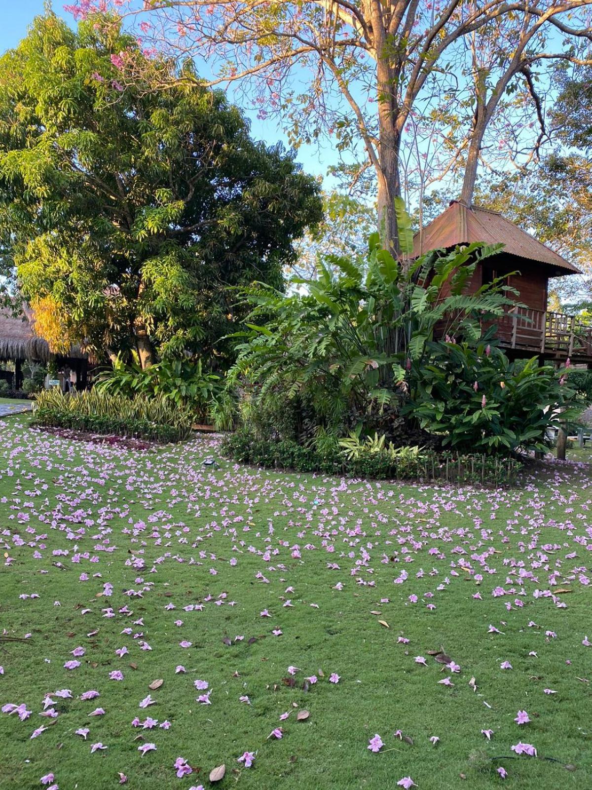La Bonita Luxury Ecohotel Sahagun Kültér fotó